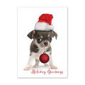 Puppy Greetings Holiday Card - Red Lined White Fastick  Envelope